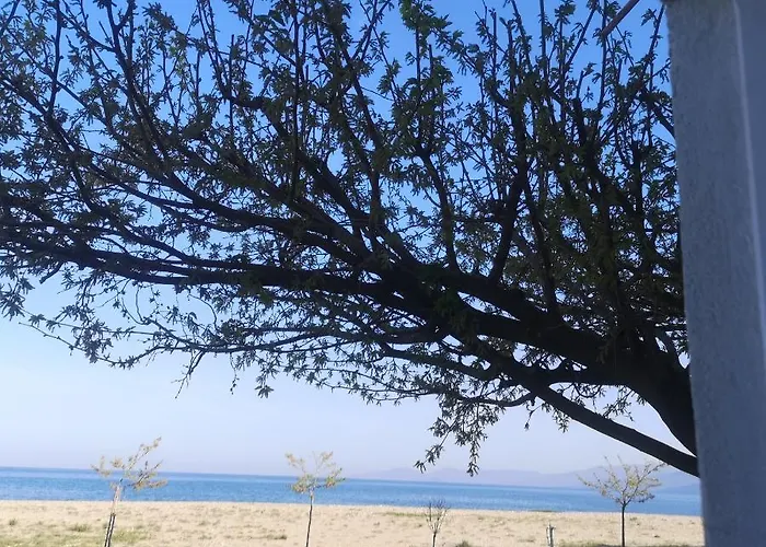 Greece Petalo 公寓 艾斯普罗瓦塔
